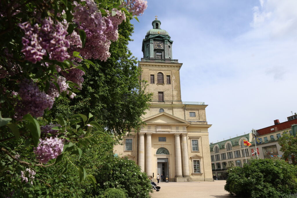 I förgrunden en syrenbuske med lila blommor. I bakgrunden Domkyrkans sandfärgade stenfasad, och blågröna klocktorn.
